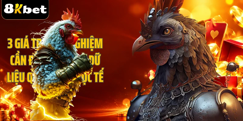 3 giá trị trải nghiệm cần được nhìn từ dữ liệu quan sát thực tế