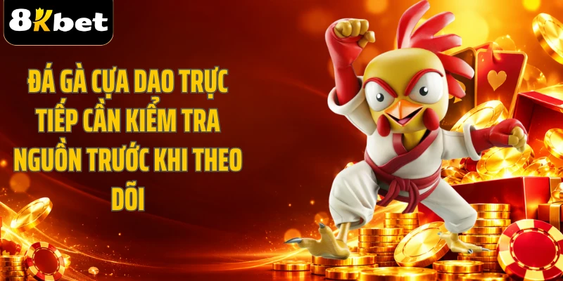 Đá gà cựa dao trực tiếp cần kiểm tra nguồn trước khi theo dõi