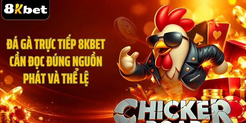 Đá gà trực tiếp 8KBET cần đọc đúng nguồn phát và thể lệ