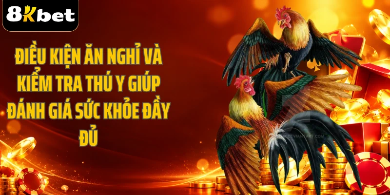 Điều kiện ăn nghỉ và kiểm tra thú y giúp đánh giá sức khỏe đầy đủ