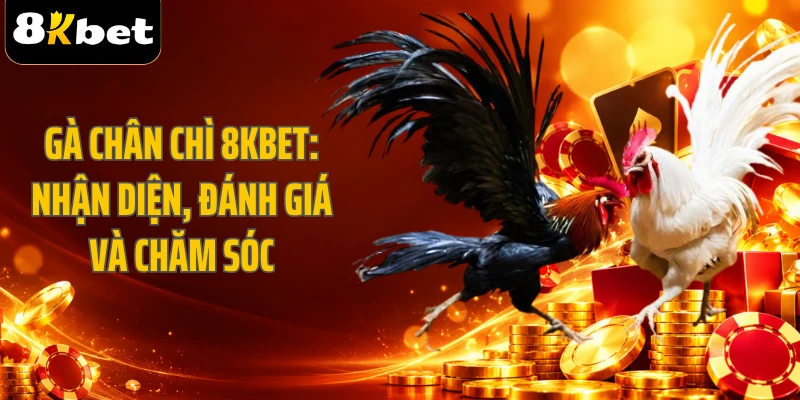 Gà Chân Chì 8KBET: Nhận Diện, Đánh Giá Và Chăm Sóc