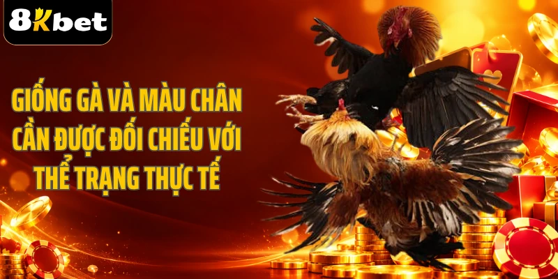 Giống gà và màu chân cần được đối chiếu với thể trạng thực tế