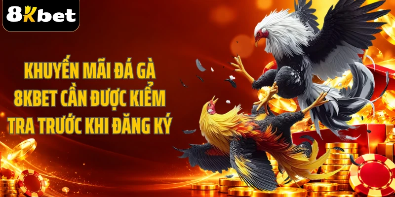 Khuyến mãi đá gà 8KBET cần được kiểm tra trước khi đăng ký
