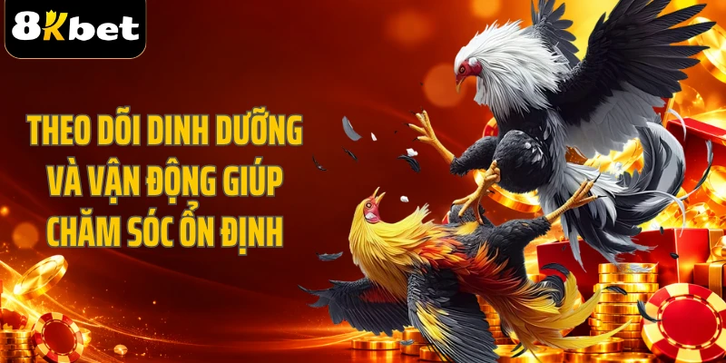 Theo dõi dinh dưỡng và vận động giúp chăm sóc ổn định
